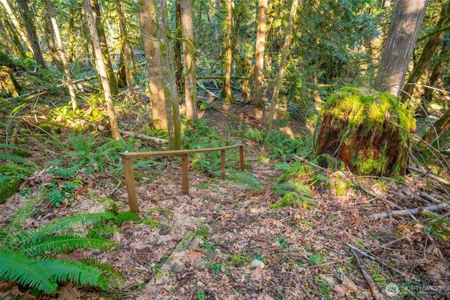 450 Mt Jupiter Pl, Hoodsport, WA 98548