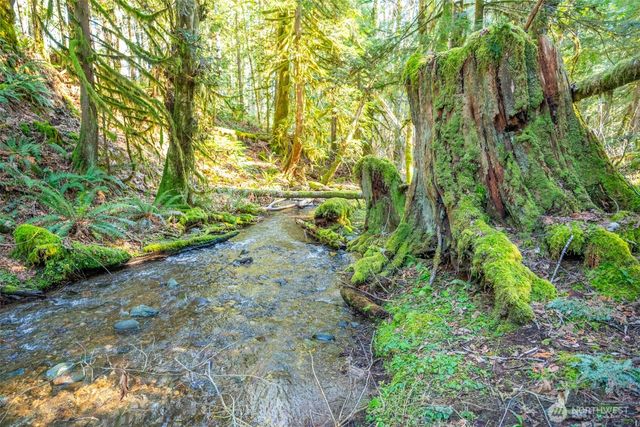 450 Mt Jupiter Pl, Hoodsport, WA 98548