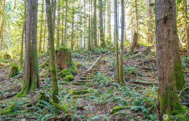 450 Mt Jupiter Pl, Hoodsport, WA 98548