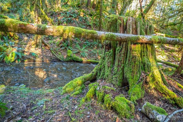 450 Mt Jupiter Pl, Hoodsport, WA 98548