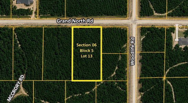 11818 Grand North Road, Willis, TX 77378