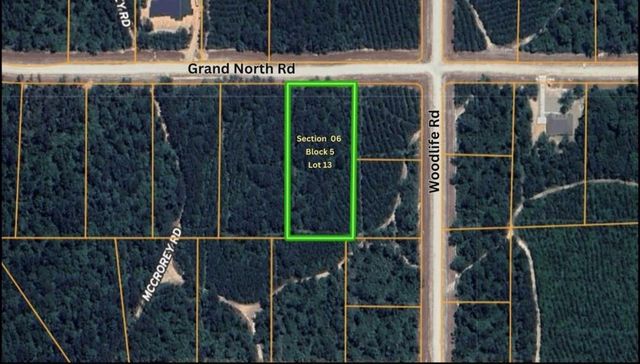 11818 Grand North Road, Willis, TX 77378