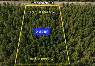 11818 Grand North Road, Willis, TX 77378