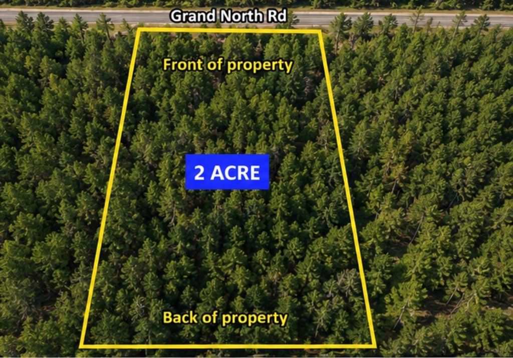 11818 Grand North Road, Willis, TX 77378