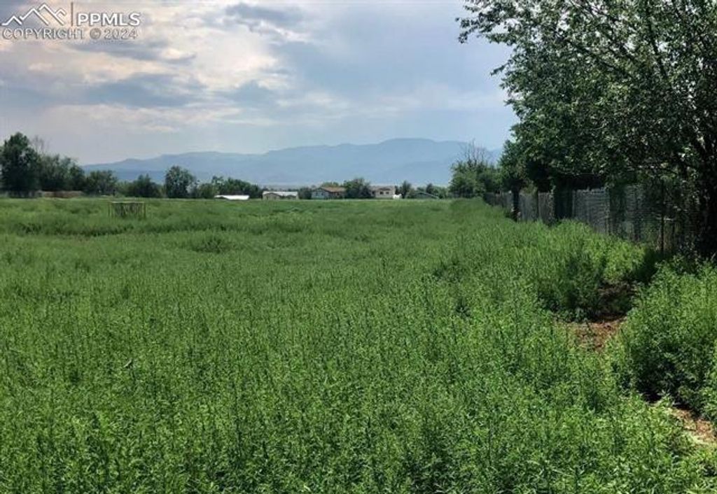 1355 Fountain Mesa Road, Fountain, CO 80817 — photo 5
