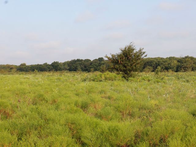 TBD Lot 2 Alsdorf Road, Ennis, TX 75119