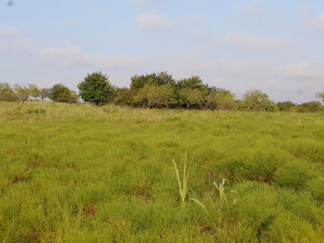 TBD Lot 2 Alsdorf Road, Ennis, TX 75119