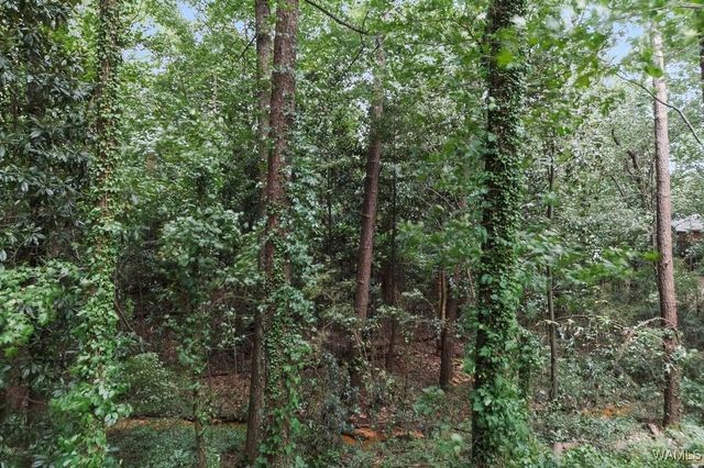 111 ARCADIA, Tuscaloosa, AL 35404