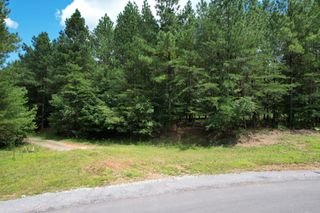 0 Crockett Point, Jasper, TN 37347