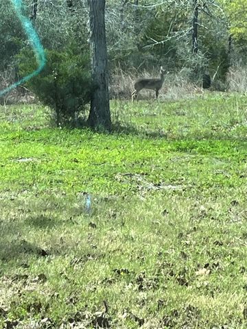 5610 Private Road 4015, Somerville, TX 77879