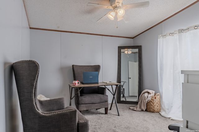 1217 County Road 6723, Natalia, TX 78059