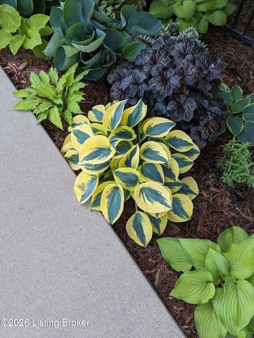 8306 Grandel Forest Way, Louisville, KY 40258