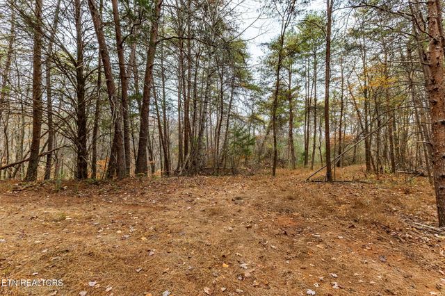 4231 Sweetwater Vonore Rd, Sweetwater, TN 37874