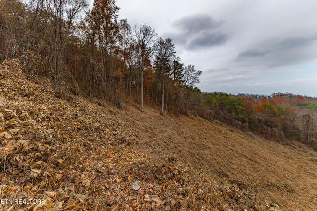 4231 Sweetwater Vonore Rd, Sweetwater, TN 37874