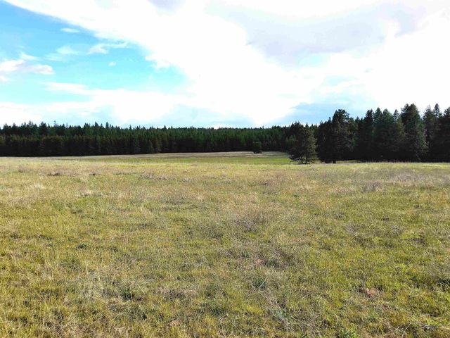 000 W INSERT Ln, Deer Park, WA 99006