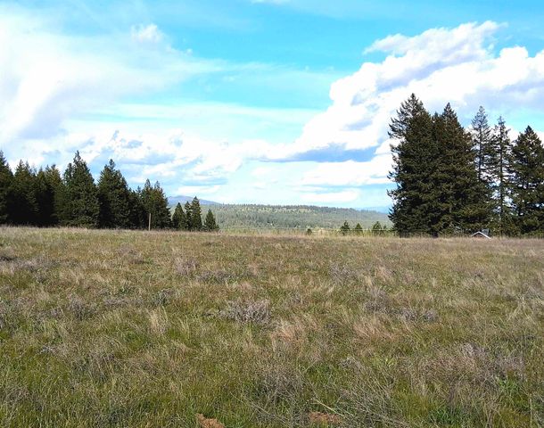000 W INSERT Ln, Deer Park, WA 99006