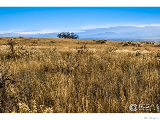 7929 County Road 84, Fort Collins, CO 80524