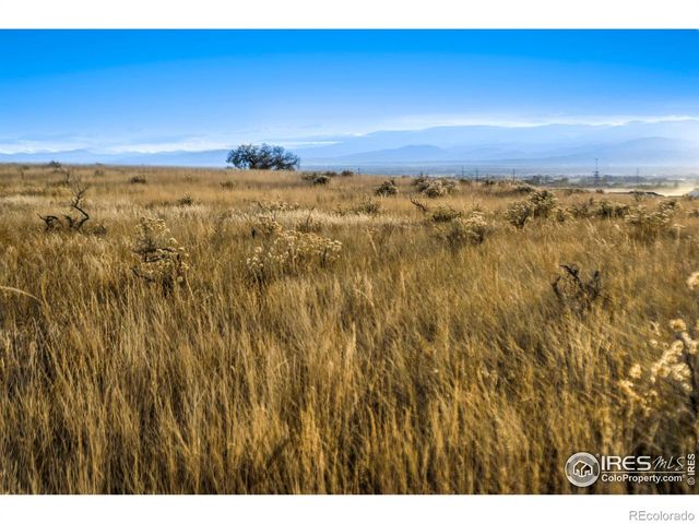 7929 County Road 84, Fort Collins, CO 80524