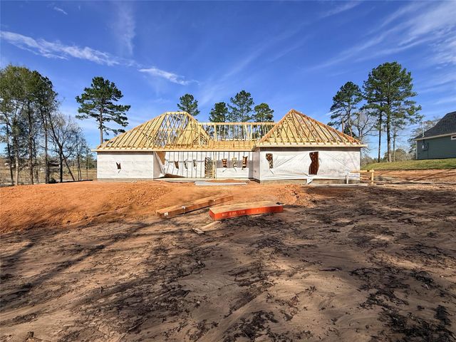 10118 County Road 302, Plantersville, TX 77363