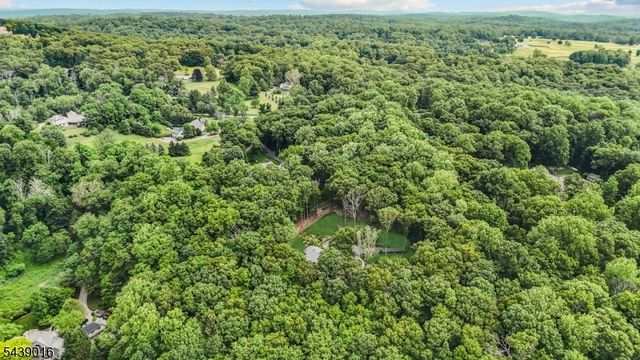 246 Mount Harmony Rd, Bernardsville Boro, NJ 07924