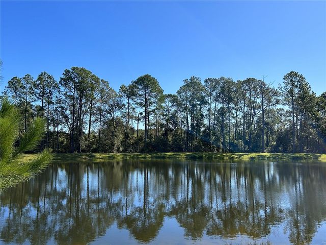 16392 WINDING PRESERVE CIRCLE, Clermont, FL 34714