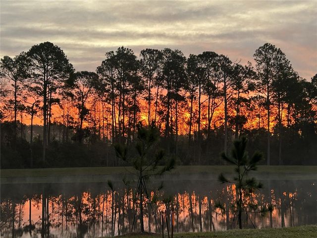 16392 WINDING PRESERVE CIRCLE, Clermont, FL 34714