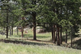 247 Deerfield Circle, Florissant, CO 80816