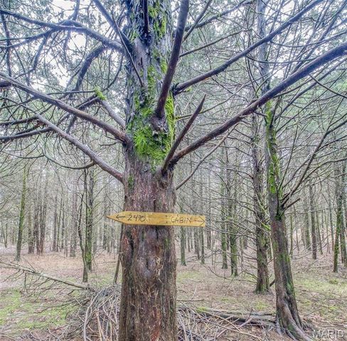 845 County Road 2470, Salem, MO 65560