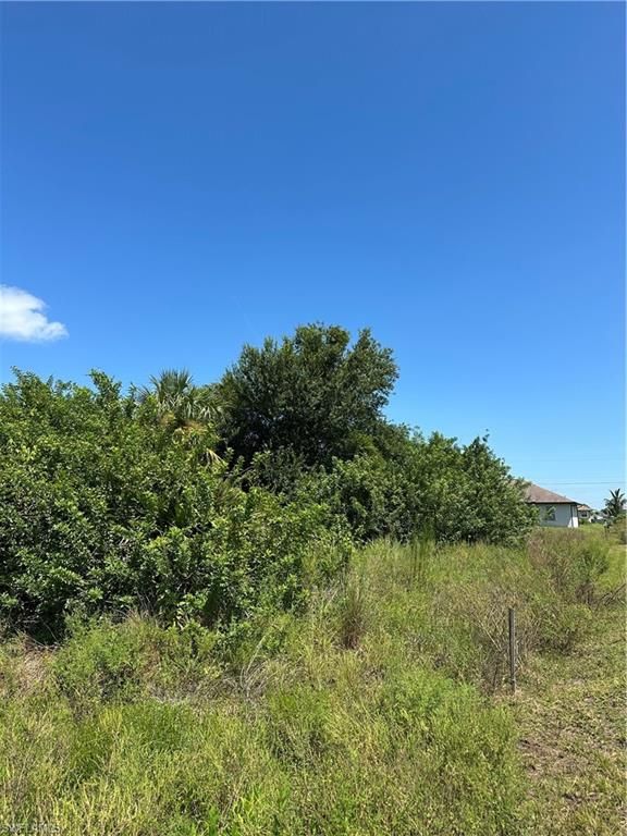 4204 SW 18th ST, LEHIGH ACRES, FL 33976 — photo 2