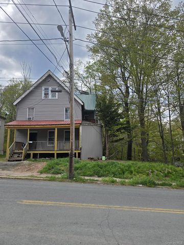 38 Edgar Street, Liberty, NY 12754