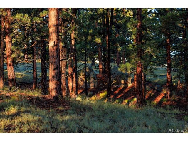 1699 Sangre Dr, Westcliffe, CO 81252