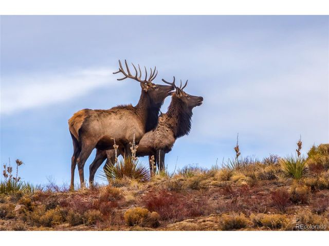 1699 Sangre Dr, Westcliffe, CO 81252