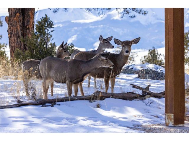 1699 Sangre Dr, Westcliffe, CO 81252