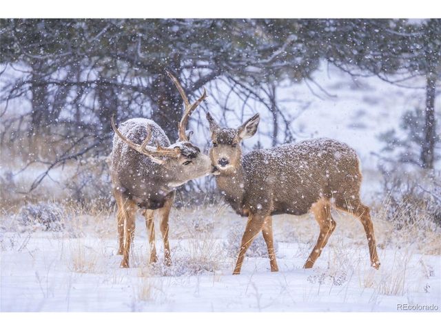 1699 Sangre Dr, Westcliffe, CO 81252