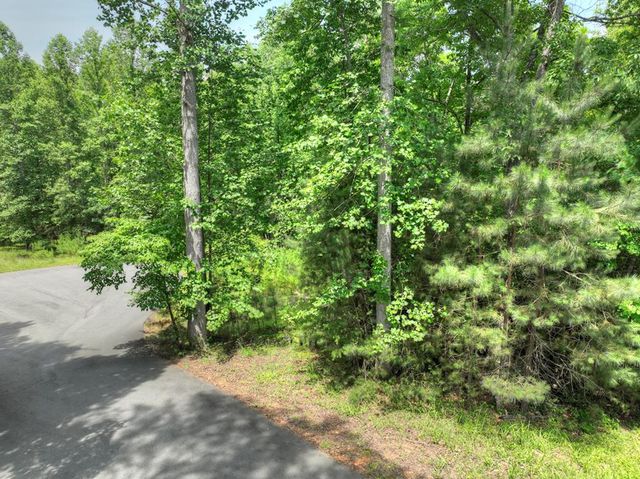 LOT 132 Fox Cove Road, Blairsville, GA 30512