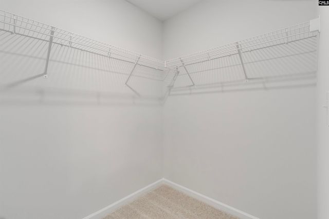 277 Brando Way, Columbia, SC 29223