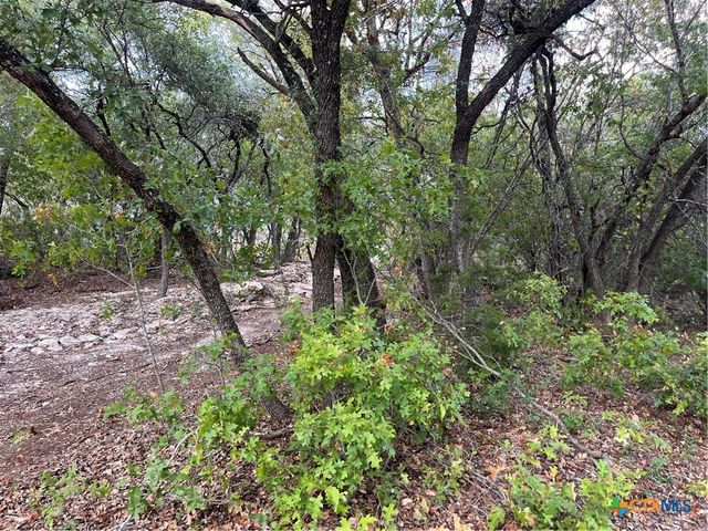 740 County Road 334, Gatesville, TX 76528