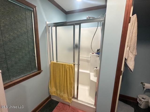 133 Oak Ridge Circle, Madison, MS 39110