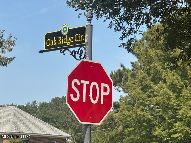 133 Oak Ridge Circle, Madison, MS 39110