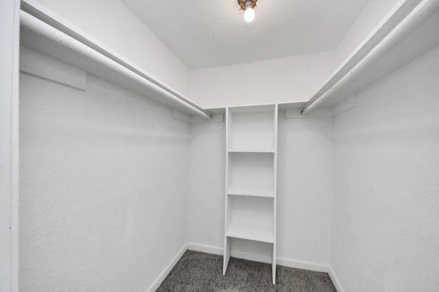 8100 Creekbend Drive 104, Houston, TX 77071