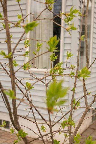 401 GARDNERS, Appleton, WI 54915
