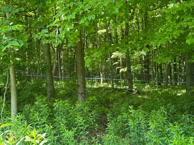 1198 Georgia Mountain Road, Georgia, VT 05454