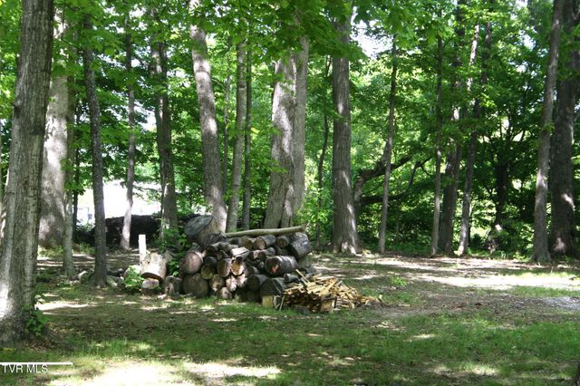 130 Kenneth Foster Road, Chuckey, TN 37641