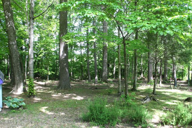 130 Kenneth Foster Road, Chuckey, TN 37641