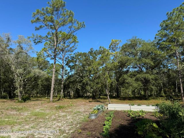 6649 W Linden Drive, Homosassa, FL 34446