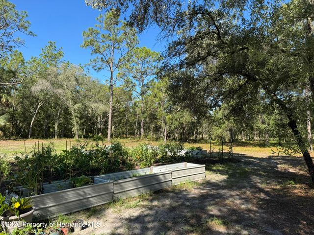 6649 W Linden Drive, Homosassa, FL 34446