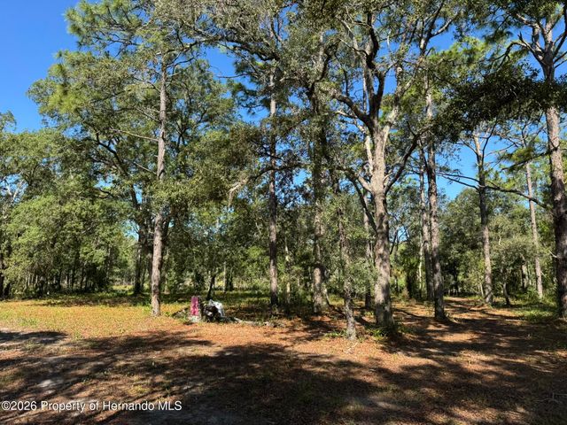 6649 W Linden Drive, Homosassa, FL 34446