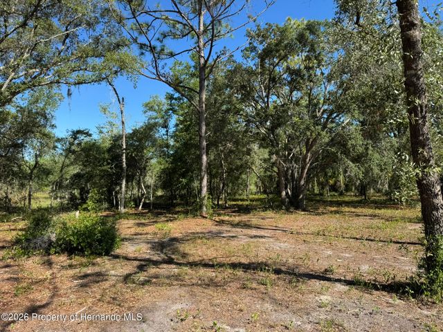 6649 W Linden Drive, Homosassa, FL 34446