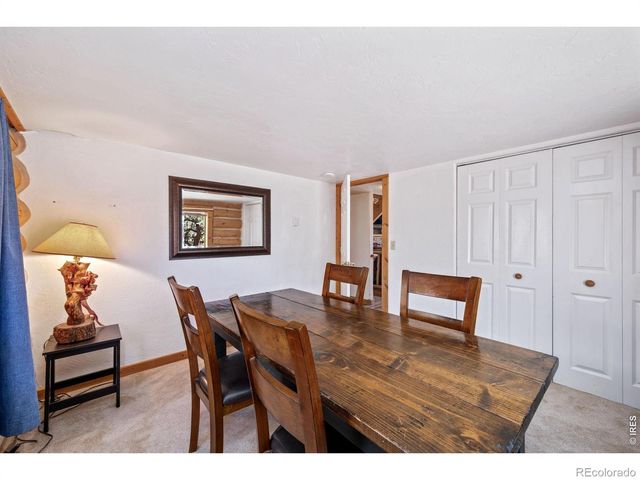 298 Mount Massive Drive, Livermore, CO 80536