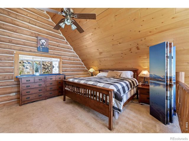 298 Mount Massive Drive, Livermore, CO 80536